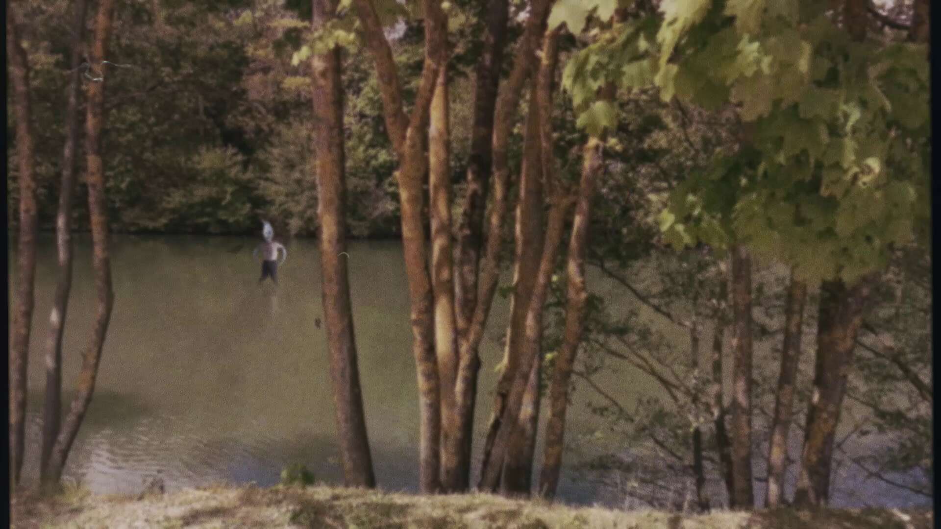 vlcsnap-2020-03-02-15h24m56s765